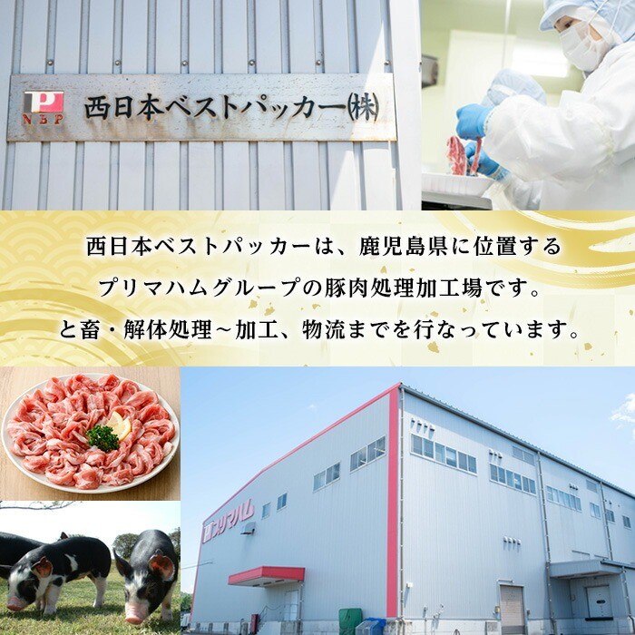 ＜定期便・全6回＞恵味の黒豚しゃぶしゃぶ3種セット (鹿児島県産黒豚)(250g×6P×6回・総量9kg) 豚肉 鹿児島 スライス 肩ロース ロース ばら肉 バラ肉 しゃぶしゃぶ 詰合せ 小分け 250g 定期便 冷凍【西日本ベストパッカー】【E-156H】