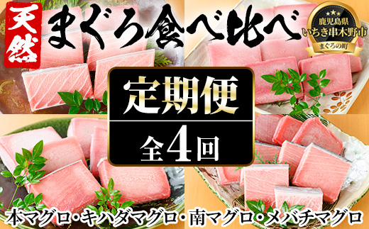 ＜定期便・全4回(毎月)＞厳選天然まぐろ食べ比べセット！大トロ・中トロ・赤身(総量3.2kg)まぐろ 鮪 刺身 海鮮丼 海鮮 魚介 さかな 頒布会【海鮮まぐろ家】【E-165H】