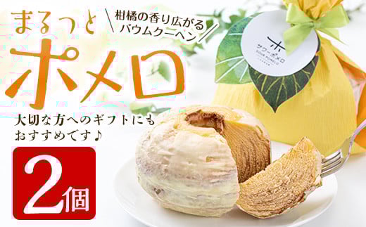 ＜数量限定＞鹿児島県産サワーポメロをふんだんに使用！まるっとポメロ(2個) 国産 九州産 スイーツ バウムクーヘン ケーキ お菓子 洋菓子 手作り 常温 贈答用 ギフト【菓子処 菊屋】【A-1633H】