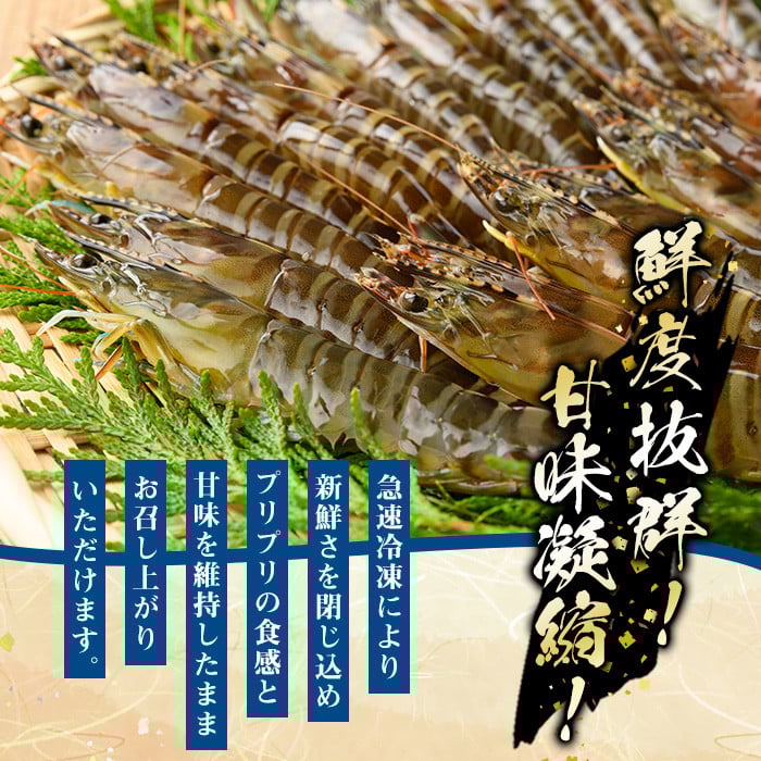 å·åã¯ã«ããšãèš1kg(25gÃ10å°ŸÃ4è¢) åœç£ ä¹å·ç£ 鹿å
å³¶ç£ éä» é æ¬ é°€ ã㪠ã¶ã ããã ã¯ãŸã¡ åºèº« ãåºèº« 海鮮䞌 挬ã䞌 ããªå€§æ ¹ ã¶ãããã¶ ããã¶ããã¶ é ãé ã«ã ãã€ã³ å身 å·åããã¬ã·ãã«ããC-183Hã