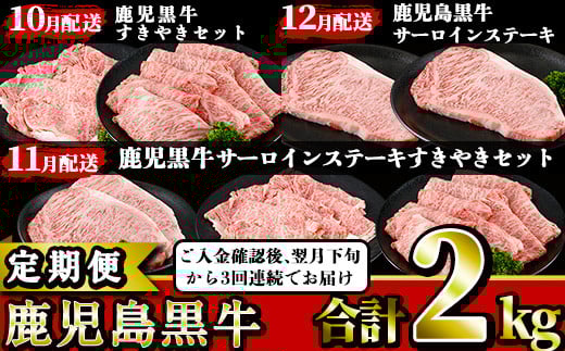 ＜定期便・全3回(10月発送開始)＞鹿児島黒牛定期便！サーロインステーキやリブローススライス、カタローススライス！ご入金確認後翌月下旬から3回連続でお届け！【JAさつま日置農業協同組合】【BR-10-022H】