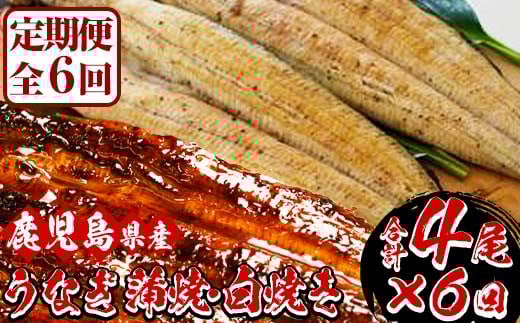 ＜定期便・全6回(毎月)＞国産うなぎ(鹿児島県産うなぎ)の食べ比べ堪能セット(うなぎ蒲焼2尾と白焼き2尾×6回)！国産 国産魚 九州産 鹿児島県産 魚 魚介 鰻 うなぎ ウナギ 蒲焼 蒲焼き 惣菜 冷凍 定期 頒布会【南竹鰻加工】【S-017H】