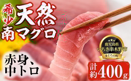 南マグロ味わいセット！中トロと赤身の鮪の刺身用柵(計約400g) まぐろ 鮪 南まぐろ 南マグロ 中とろ 魚介 刺し身 刺身 刺身用 さしみ サク 海鮮丼 小分け 便利 冷凍 希少 新鮮【新洋水産】【A-1274H】
