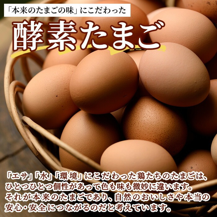 薩摩ヤブサメ酵素卵(60個) 国産 鹿児島県産 たまご 卵 玉子 タマゴ 鶏卵 オムレツ 卵かけご飯 朝食 料理 人気 たまご焼き【ヤブサメファーム】【A-781H】