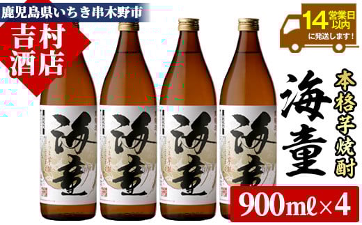 鹿児島焼酎「海童」(900ml×4本)！九州 鹿児島 鹿児島特産 酒 焼酎 芋焼酎 家飲み セット【吉村酒店】【A-1306H】