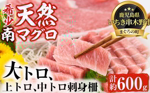 南マグロ極みセット！大とろ・上とろ・中とろの鮪の刺身用柵(計約600g) まぐろ 鮪 南まぐろ 南マグロ 大とろ 中とろ 上とろ 魚介 刺し身 刺身 刺身用 さしみ サク 海鮮丼 小分け 便利 冷凍 希少 新鮮【新洋水産】【E-073H】