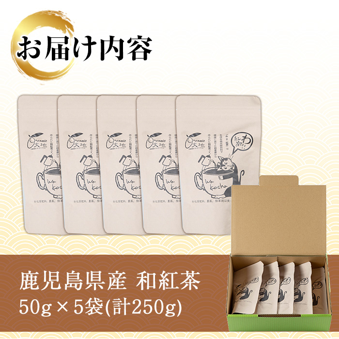 鹿児島県産 和紅茶 (50g×5袋) 鹿児島 鹿児島県産 お茶 茶 紅茶 和紅茶 茶葉 ギフト プレゼント 贈り物 常温 【米丸製茶】【A-1950H】