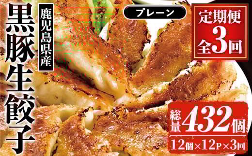[定期便・全3回(毎月)]鹿児島黒豚の生餃子(12個×12P×3回・総量432個) 黒豚 国産 野菜 おかず おつまみ ぎょうざ ギョウザ 惣菜 冷凍 おかず 弁当 小分け 冷凍[鹿児島協同食品][C-203H]