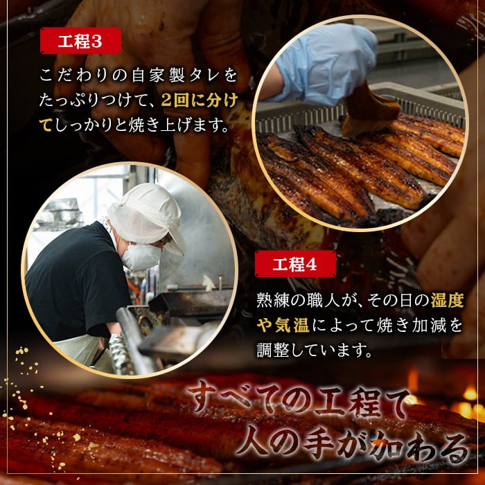 ＜2026年お中元ギフト＞国産うなぎ(鹿児島県産うなぎ)蒲焼(大サイズ5尾・約800g) 国産 国産魚 九州産 鹿児島県産 魚 魚介 鰻 うなぎ ウナギ 蒲焼 蒲焼き 惣菜 冷凍 プレゼント 贈答品【南竹鰻加工】【00-025-13-R8OC】