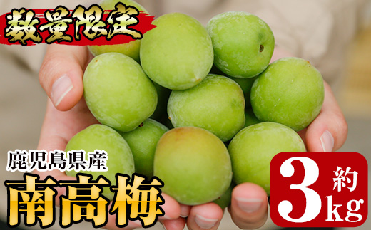 ＜先行予約受付中！2026年5月下旬から順次発送予定＞《容量が選べる！》朝日梅園の南高梅 (3kg箱バラ詰め満杯・2Lサイズ以上) 国産 九州産 野菜 南高梅 生梅 青梅 梅の実 うめ ウメ 青果 果物 梅酒 梅干し 梅シロップ 梅ジュース 梅ジャム【朝日梅園】【00-088-01】