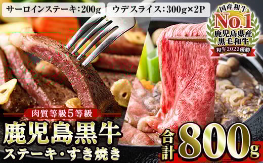 鹿児島黒牛サーロインステーキ(1枚)・黒牛すきやき用腕スライス肉(5等級)詰め合わせセット 計約800g【JAさつま日置農業協同組合】【C-83H】