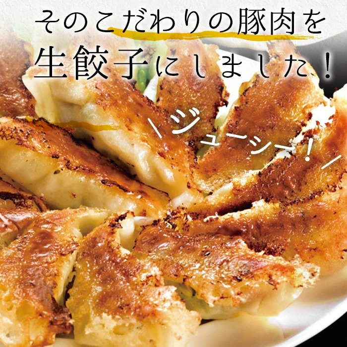 鹿児島黒豚の生餃子(生姜風味)(12個×12P・合計144個) たれ付き！おろし生姜  豚 国産 野菜 ぎょうざ ギョウザ 惣菜 冷凍 おかず 弁当 小分け【鹿児島協同食品】【A-1866H】