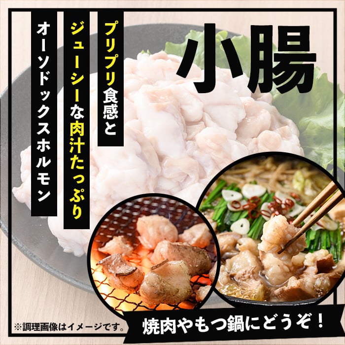 ＜2026年お中元ギフト＞鹿児島県産黒毛和牛 小腸(300g×2P・計600g) しょうちょう ホルモン もつ鍋 焼肉 鍋 焼肉用 焼き肉 バーベキュー 冷凍 牛肉 肉 もつ モツ 内臓 国産牛 モツ鍋 もつなべ 小分け 九州 国産 贈答品 ギフト【バクロ】【00-030-27-R8OC】