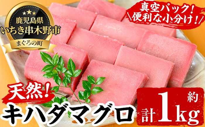 螟ゥ辟カ繧ュ繝上ム繝槭げ繝ュ(邏1kg) 譟オ縺ァ縺雁ア翫¢シ∬i蜴壹ョ縺雁絢霄ォ繧豬キ魄ョ荳シ縺ォシ√∪縺舌m 魄ェ 鬲壻サ 蛻コ縺苓コォ 縲先オキ魄ョ縺セ縺舌m螳カ縲代殖-347H縲