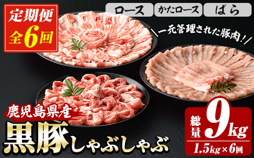 ＜定期便・全6回＞恵味の黒豚しゃぶしゃぶ3種セット (鹿児島県産黒豚)(250g×6P×6回・総量9kg) 豚肉 鹿児島 スライス 肩ロース ロース ばら肉 バラ肉 しゃぶしゃぶ 詰合せ 小分け 250g 定期便 冷凍【西日本ベストパッカー】【E-156H】