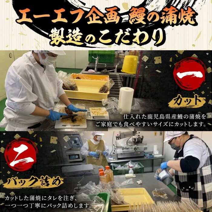 《レンジ対応》鹿児島県産うなぎ蒲焼(300g・60g×5/タレ・山椒付き) 国産 国産魚 九州産 鹿児島県産 魚 魚介 鰻 うなぎ ウナギ unagi 蒲焼 蒲焼き たれ たれ付 さんしょう 簡単調理【エーエフ企画】【A-1777H】