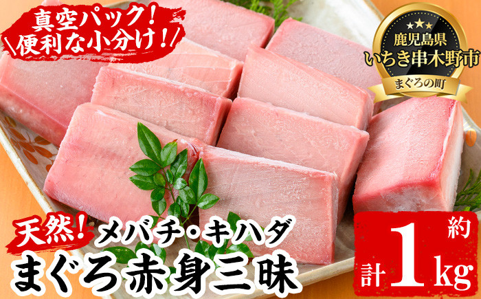 天然まぐろメバチ・キハダ赤身三昧(計1kg) 小分けの柵でお届け！肉厚のお刺身や海鮮丼に！まぐろ 鮪 魚介 刺し身 刺身 さしみ 海鮮丼 メバチまぐろ キハダまぐろ 小分け 便利 冷凍 新鮮【海鮮まぐろ家】【B-346H】