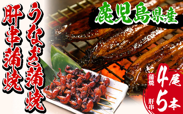 国産うなぎ(鹿児島県産うなぎ)蒲焼き(大サイズ4尾・計約640g)とうなぎ肝串蒲焼(5本) 国産 国産魚 九州産 鹿児島県産 魚 魚介 鰻 うなぎ ウナギ 蒲焼 蒲焼き 惣菜 冷凍 串 肝 内臓【南竹鰻加工】【D-606H】