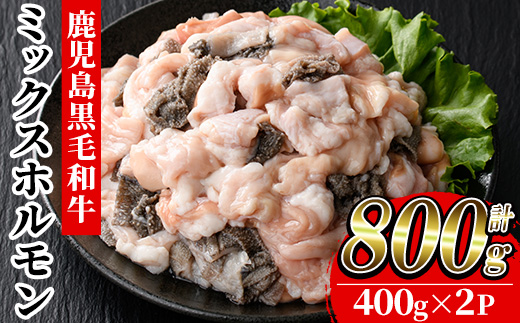 ≪数量限定≫黒毛和牛ミックスホルモン(計800g・400g×2P) 牛肉 焼き肉 ホルモン炒め モツ もつ 内臓 国産 九州 肉 和牛 牛 贈答品 ギフト【バクロ】【A-1989H】