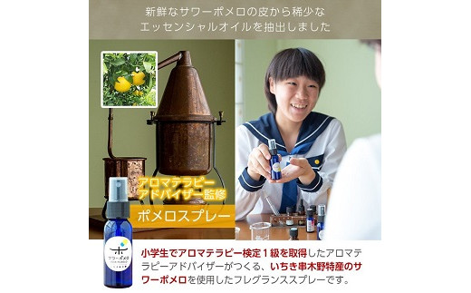 《数量限定》ルームフレグランス(合計3本・各30ml)サワーポメロ・サワーポメロブレンド・ポンカンのエッセンシャルオイル！高校生アロマテラピーアドバイザー監修！ギフトやご贈答にも ルシエルフュゼ【LeCiel+b2-cafe】【A-1093H】