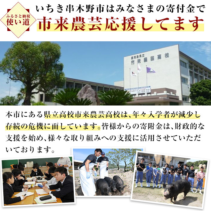 ≪ESSE金賞≫市来農芸高校産 黒豚しゃぶしゃぶ(バラ・600g)地元の高校生が育てた「金の桜黒豚」！豚 豚肉 肉 鹿児島 国産 黒豚 豚バラ バラ肉 豚バラスライス しゃぶしゃぶ 冷凍 2023 ESSE グランプリ 受賞【エーエフ企画】【A-586H】
