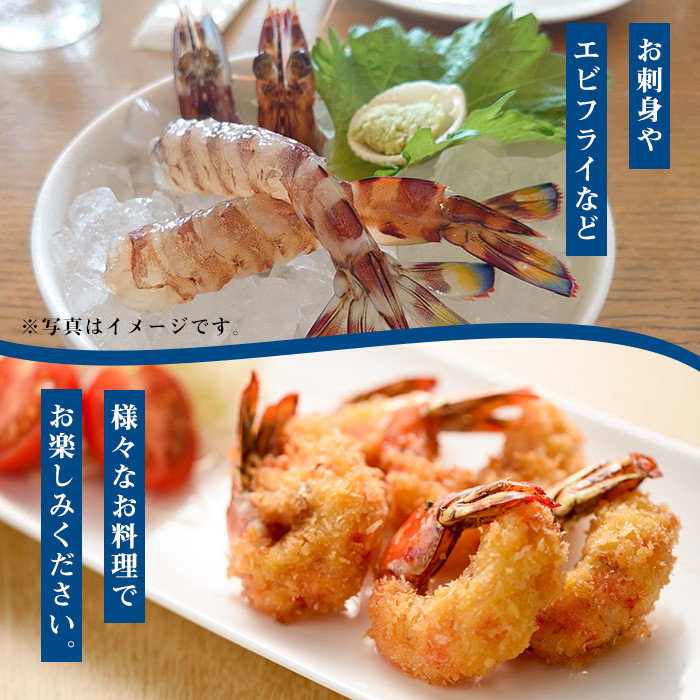 冷凍クルマエビ 計500g(25g×10尾×2袋) 国産 九州産 鹿児島 特産品 特産 車海老 くるまえび 活き車えび 車えび 海鮮 魚介 鍋 お鍋 塩焼き 串焼き バーベキュー BBQ エビフライ 天ぷら 刺身 お刺身 冷凍【ヒガシマル】【A-1538H】