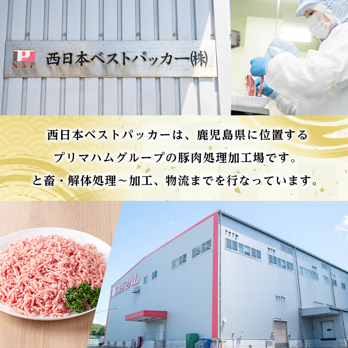 鹿児島県産豚ミンチ (300g×8P・計2.4kg) 豚 豚肉 肉 鹿児島 白豚 ミンチ肉 ひき肉 挽き肉 挽肉 ハンバーグ そぼろ 詰合せ 詰め合わせ 小分け 冷凍【西日本ベストパッカー】【A-2012H】
