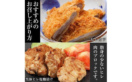 鹿児島県産黒豚ヒレブロック(計約1kg・約500g×2本)！国産 豚 豚肉 肉 食品 肉類 冷凍 ヒレ肉 ブロック 九州 ヒレカツ ステーキ ローストポーク【エーエフ企画】【A-1426H】