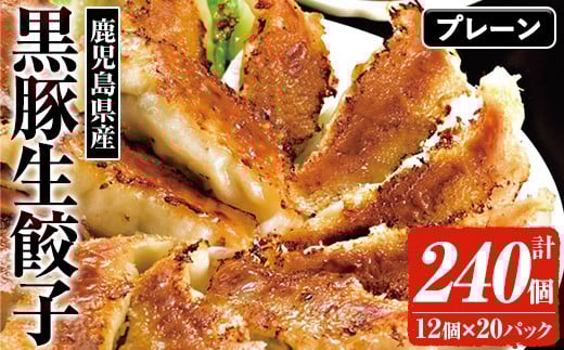 鹿児島黒豚の生餃子(12個×20P・計240個) 黒豚 国産 野菜 おかず おつまみ ぎょうざ ギョウザ 惣菜 冷凍 おかず 弁当 小分け[鹿児島協同食品][A-1857H]