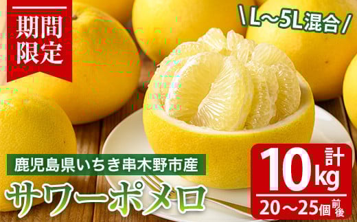 ＜先行予約受付中！＞《期間限定・数量限定》木之下果樹園のサワーポメロ (計10kg箱満杯・20～25個前後) 国産 鹿児島県産 果物 柑橘 サワーポメロ 大橘 文旦 パール柑 土佐文旦 旬 フルーツ 果実 冬季 常温 箱 【木之下果樹園】【A-2051H】