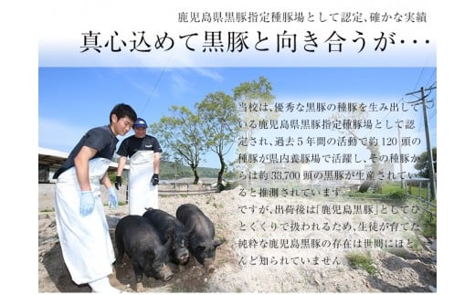 ≪ESSE金賞≫市来農芸高校産 黒豚しゃぶしゃぶ(ロース・600g)地元の高校生が育てた「金の桜黒豚」！豚 豚肉 肉 鹿児島 国産 黒豚 豚ロース ロース 豚ローススライス しゃぶしゃぶ 冷凍 2023 ESSE グランプリ 受賞【エーエフ企画】【A-587H】