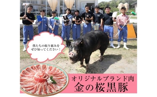 ≪ESSE金賞≫市来農芸高校産 黒豚しゃぶしゃぶ(ロース・600g)地元の高校生が育てた「金の桜黒豚」！豚 豚肉 肉 鹿児島 国産 黒豚 豚ロース ロース 豚ローススライス しゃぶしゃぶ 冷凍 2023 ESSE グランプリ 受賞【エーエフ企画】【A-587H】