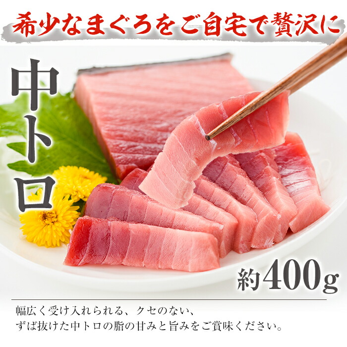 南マグロ極上セット！大とろ・上とろ・中とろ・赤身の鮪刺身用柵(計約1.2kg) まぐろ 鮪 南まぐろ 南マグロ 大とろ 中とろ 上とろ 魚介 刺し身 刺身 刺身用 さしみ サク 海鮮丼 小分け 便利 冷凍 希少 新鮮 【新洋水産】【00-019-04】