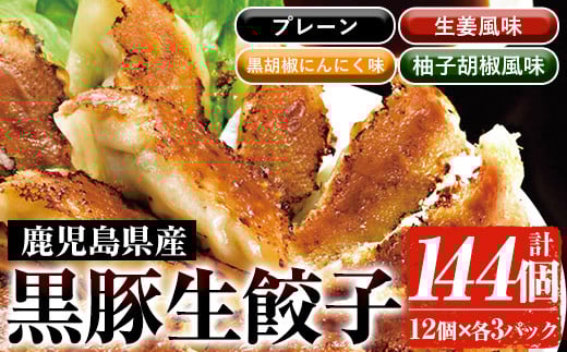 鹿児島黒豚生餃子4種食べ比べセット(計144個・12個×各3P) 国産 九州産 鹿児島県産 黒豚 餃子 ギョウザ おかず 惣菜 弁当 焼くだけ 小分け 簡単 時短 詰合せ 詰め合わせ 冷凍 冷凍食品[鹿児島協同食品][A-1872H]