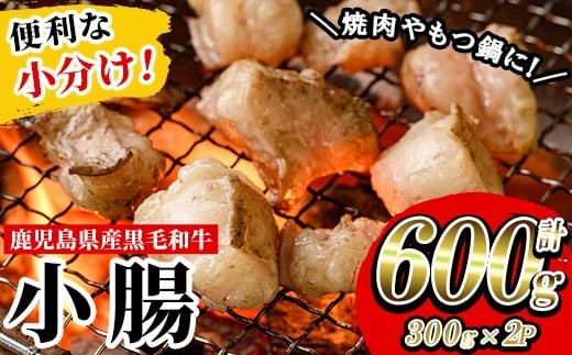 ≪小分けタイプ≫鹿児島県産黒毛和牛 小腸(計600g・300g×2P) しょうちょう ホルモン もつ鍋 焼肉 鍋 焼肉用 焼き肉 バーベキュー 冷凍 牛肉 肉 もつ モツ 内臓 国産 国産牛 九州 黒毛和牛 モツ鍋 もつなべ 分け こわけ 便利 ギフト【バクロ】【A-1741H】