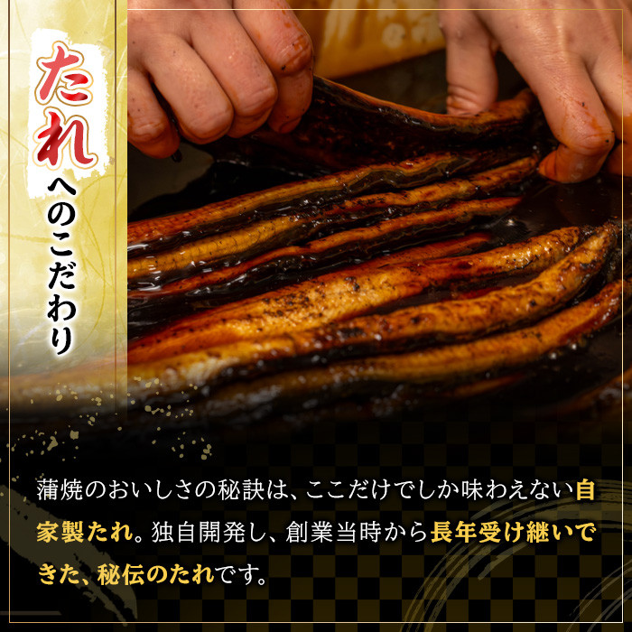 国産うなぎ(鹿児島県産うなぎ)白焼き(大サイズ3尾・計約480g・タレ付き) 国産 国産魚 九州産 鹿児島県産 魚 魚介 鰻 うなぎ ウナギ 白焼き 惣菜 冷凍【南竹鰻加工】【B-354H】