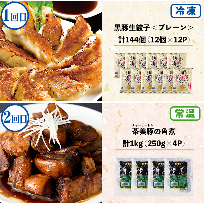 ＼新登場／＜定期便・全6回(毎月)＞鹿児島協同食品バラエティー定期便 国産 鹿児島 豚肉 加工品 惣菜 おかず 弁当 定期便 バラエティ 角煮 メンチカツ 餃子 サラダチキン ウインナー 焼売 時短 手軽 簡単 冷凍 常温【鹿児島協同食品】【E-166H】