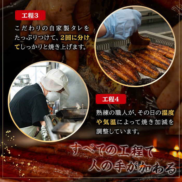 国産うなぎ(鹿児島県産うなぎ)白焼き(大サイズ3尾・計約480g・タレ付き) 国産 国産魚 九州産 鹿児島県産 魚 魚介 鰻 うなぎ ウナギ 白焼き 惣菜 冷凍【南竹鰻加工】【B-354H】