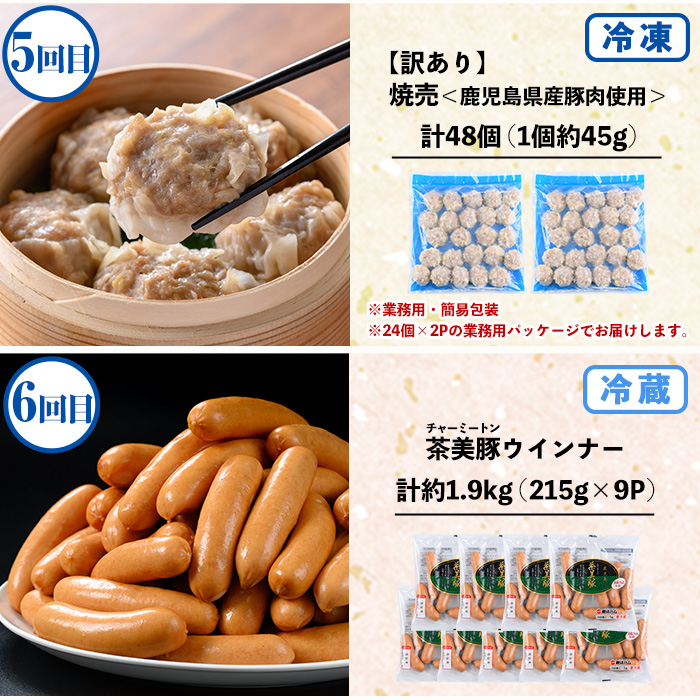 ＼新登場／＜定期便・全6回(毎月)＞鹿児島協同食品バラエティー定期便 国産 鹿児島 豚肉 加工品 惣菜 おかず 弁当 定期便 バラエティ 角煮 メンチカツ 餃子 サラダチキン ウインナー 焼売 時短 手軽 簡単 冷凍 常温【鹿児島協同食品】【E-166H】