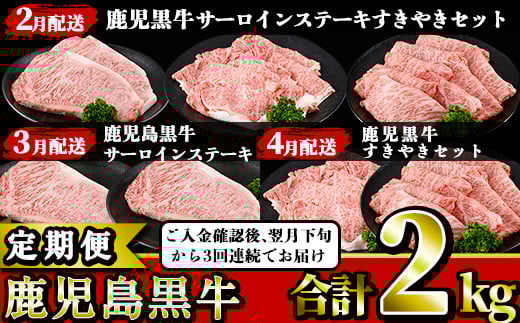 ＜定期便・全3回(2月発送開始)＞鹿児島黒牛定期便！サーロインステーキやリブローススライス、カタローススライス！ご入金確認後翌月下旬から3回連続でお届け！【JAさつま日置農業協同組合】【BR-2-022H】