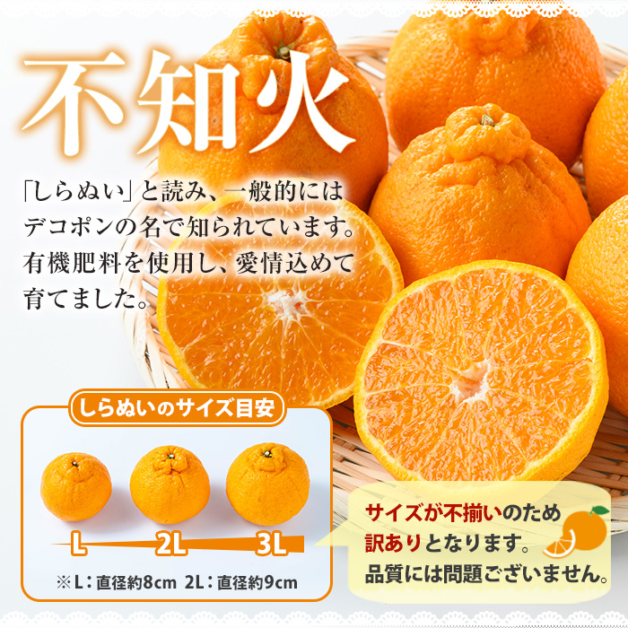 《訳あり》池之上果樹園の不知火 10kg箱バラ詰め満杯 (2L・3L混合) 国産 鹿児島県産 果物 柑橘 みかん ミカン 不知火 しらぬい でこぽん 訳アリ 秀品 サイズ不揃い フルーツ 果実 産地直送 農家直送 冬季 常温 箱 箱詰め 2L 3L【池之上果樹園】【A-1824H】