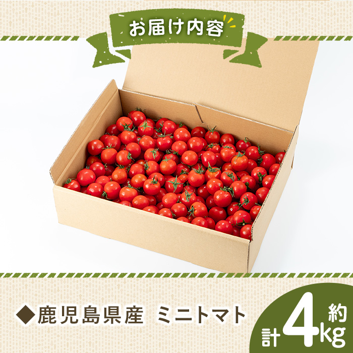 12/21ãŸã§å¹Žå
é
éïŒãæééå®ãããããã (4kg) åœç£ 鹿å
å³¶çç£ ããã ããããã éè ããã çéè æ°é®® ææ¡ã ææ¡ã æ¬ æééå® ãµã©ã ãåŒåœ 幎å
é
é 幎å
çºé ã(æ ª)AGRICIAããA-2023Hã