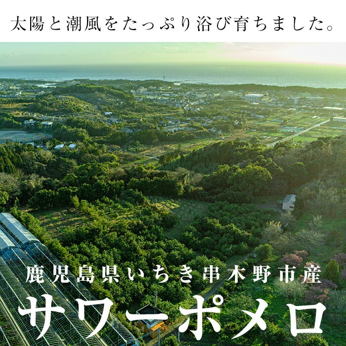 ＜先行予約受付中！2026年2月中旬頃より順次発送予定＞サワーポメロ＜等級：秀＞(4玉・2L～4L)とまるごとポメロシロップ(165g×2本)セット！鹿児島県産 サワーポメロ 大橘 柑橘 文旦 パール柑 フルーツ 果物 みかん 常温 旬 シロップ 果汁 果実【西果樹園】【A-1967H】
