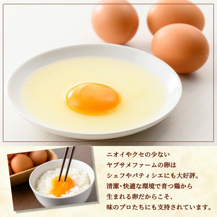 薩摩ヤブサメ酵素卵(60個) 国産 鹿児島県産 たまご 卵 玉子 タマゴ 鶏卵 オムレツ 卵かけご飯 朝食 料理 人気 たまご焼き【ヤブサメファーム】【A-781H】