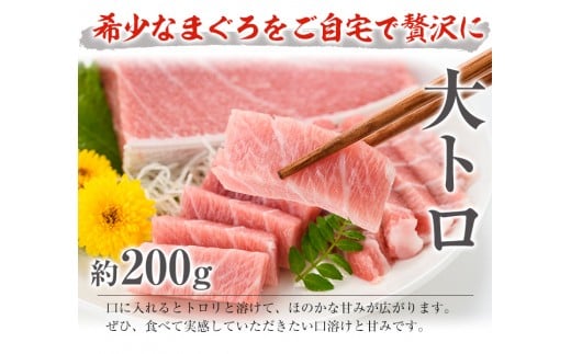 南マグロ極みセット！大とろ・上とろ・中とろの鮪の刺身用柵(計約600g) まぐろ 鮪 南まぐろ 南マグロ 大とろ 中とろ 上とろ 魚介 刺し身 刺身 刺身用 さしみ サク 海鮮丼 小分け 便利 冷凍 希少 新鮮【新洋水産】【E-073H】