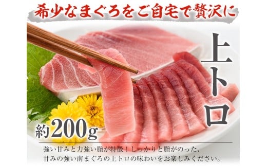 南マグロ極みセット！大とろ・上とろ・中とろの鮪の刺身用柵(計約600g) まぐろ 鮪 南まぐろ 南マグロ 大とろ 中とろ 上とろ 魚介 刺し身 刺身 刺身用 さしみ サク 海鮮丼 小分け 便利 冷凍 希少 新鮮【新洋水産】【E-073H】