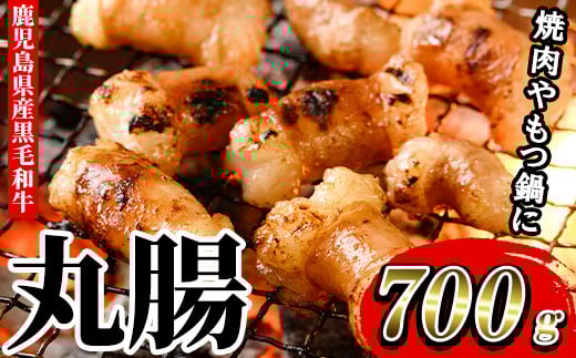 【厳選！】鹿児島県産黒毛和牛 丸腸 (計700g) 冷凍 まるちょう ホルモン もつ鍋 焼肉 牛肉 肉 もつ モツ 内臓 国産牛 モツ鍋 もつなべ 九州 国産 ギフト 黒毛和牛【バクロ】【A-1557H】