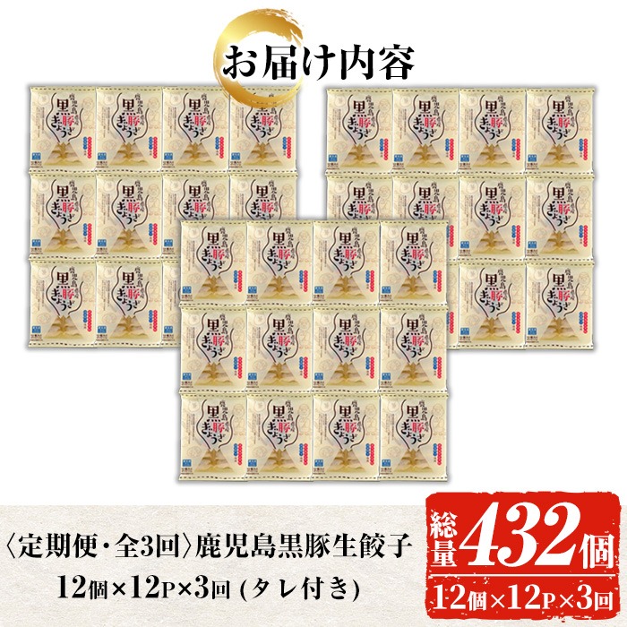 ＜定期便・全3回(毎月)＞鹿児島黒豚の生餃子(12個×12P×3回・総量432個) 黒豚 国産 野菜 おかず おつまみ ぎょうざ ギョウザ 惣菜 冷凍 おかず 弁当 小分け 冷凍【鹿児島協同食品】【C-203H】