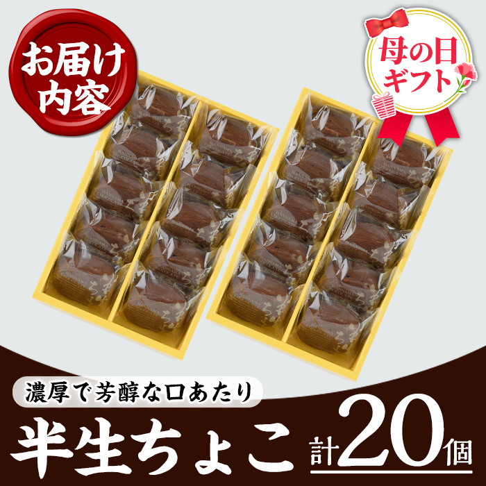 ＜2026年 母の日ギフト＞半生ちょこ(計20個) スイーツ チョコ ケーキ お菓子 銘菓 冷凍 ギフト 個包装 詰め合わせ 詰合せ 贈り物 贈答 ギフト プレゼント 洋菓子 母の日 のし 熨斗【菓子処 菊屋】【MDA-005H】