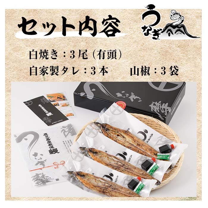国産うなぎ(鹿児島県産うなぎ)白焼き(大サイズ3尾・計約480g・タレ付き) 国産 国産魚 九州産 鹿児島県産 魚 魚介 鰻 うなぎ ウナギ 白焼き 惣菜 冷凍【南竹鰻加工】【B-354H】